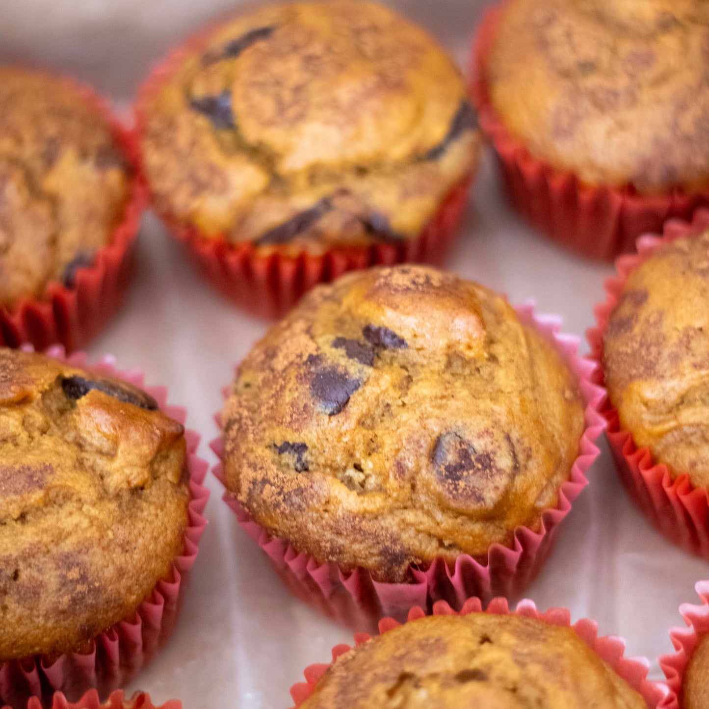 Dozen Muffin Box