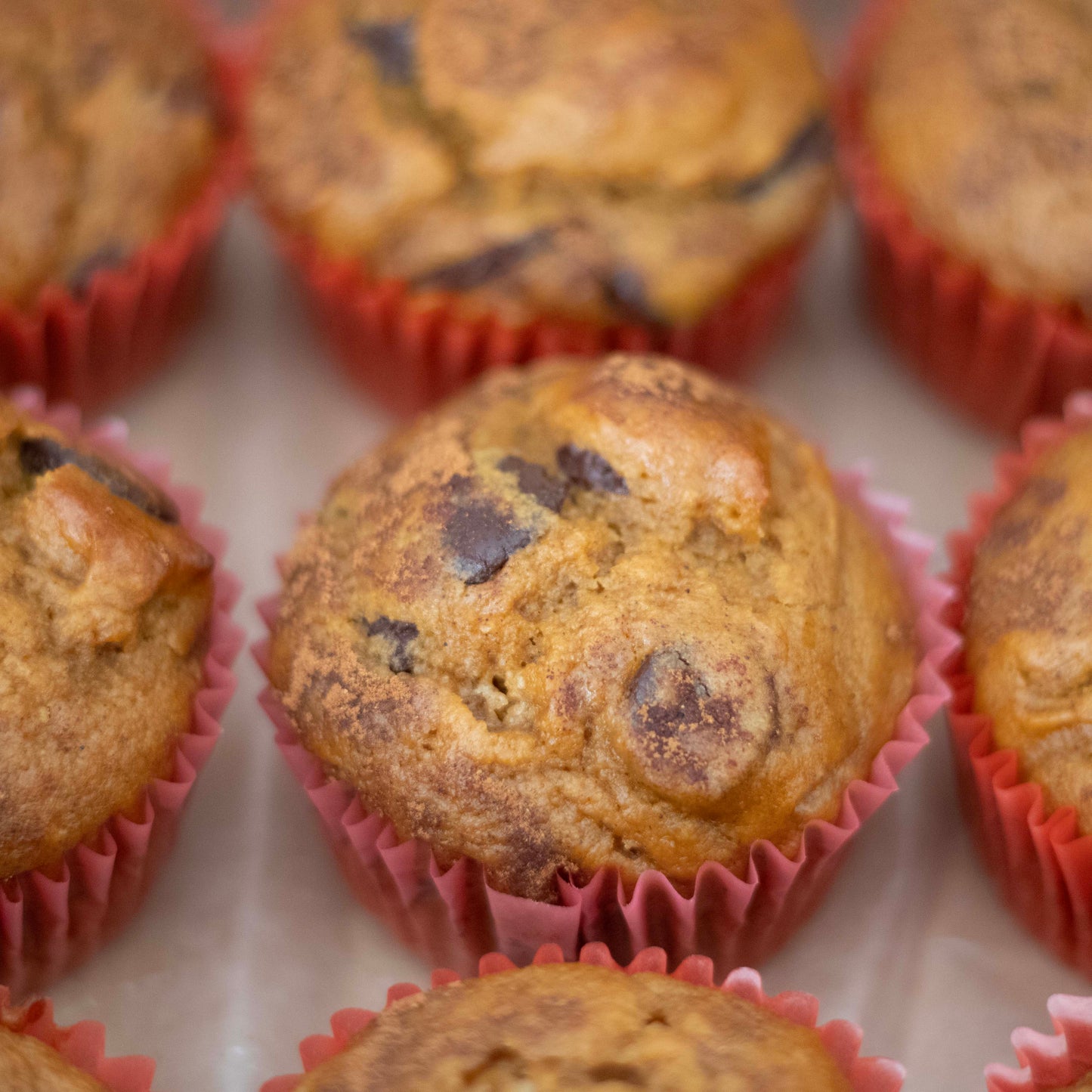 Dozen Muffin Box